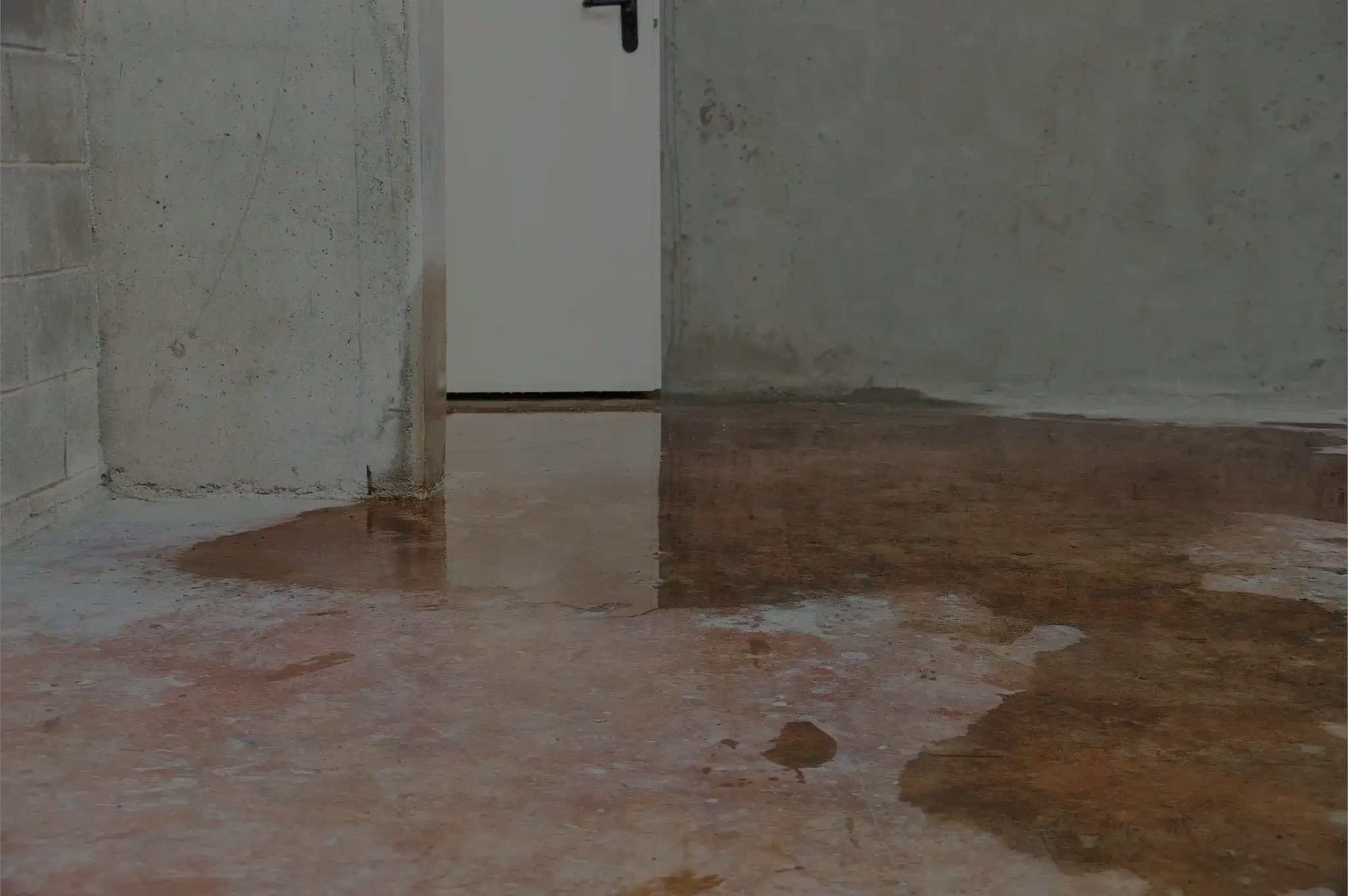 Water pooling on a basement concrete floor near a white door